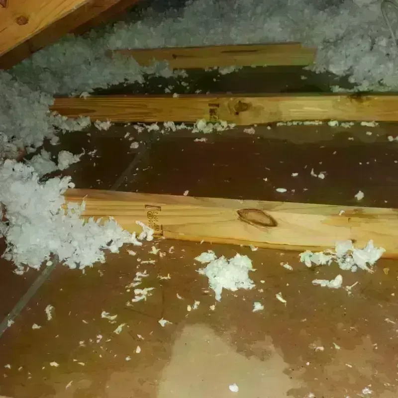 Attic Water Damage in Sargent County, ND