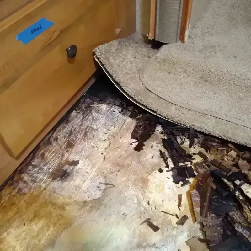 Wood Floor Water Damage in Sargent County, ND